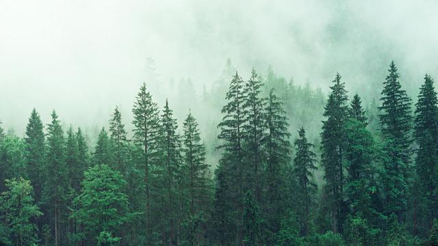 超高清绝美风景电脑壁纸精选