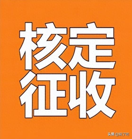 2024年一般纳税人企业申请核定征收指南，税负低至1%