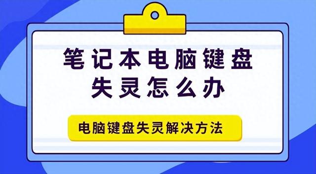 笔记本电脑键盘失灵怎么办，四种电脑键盘失灵解决指南 